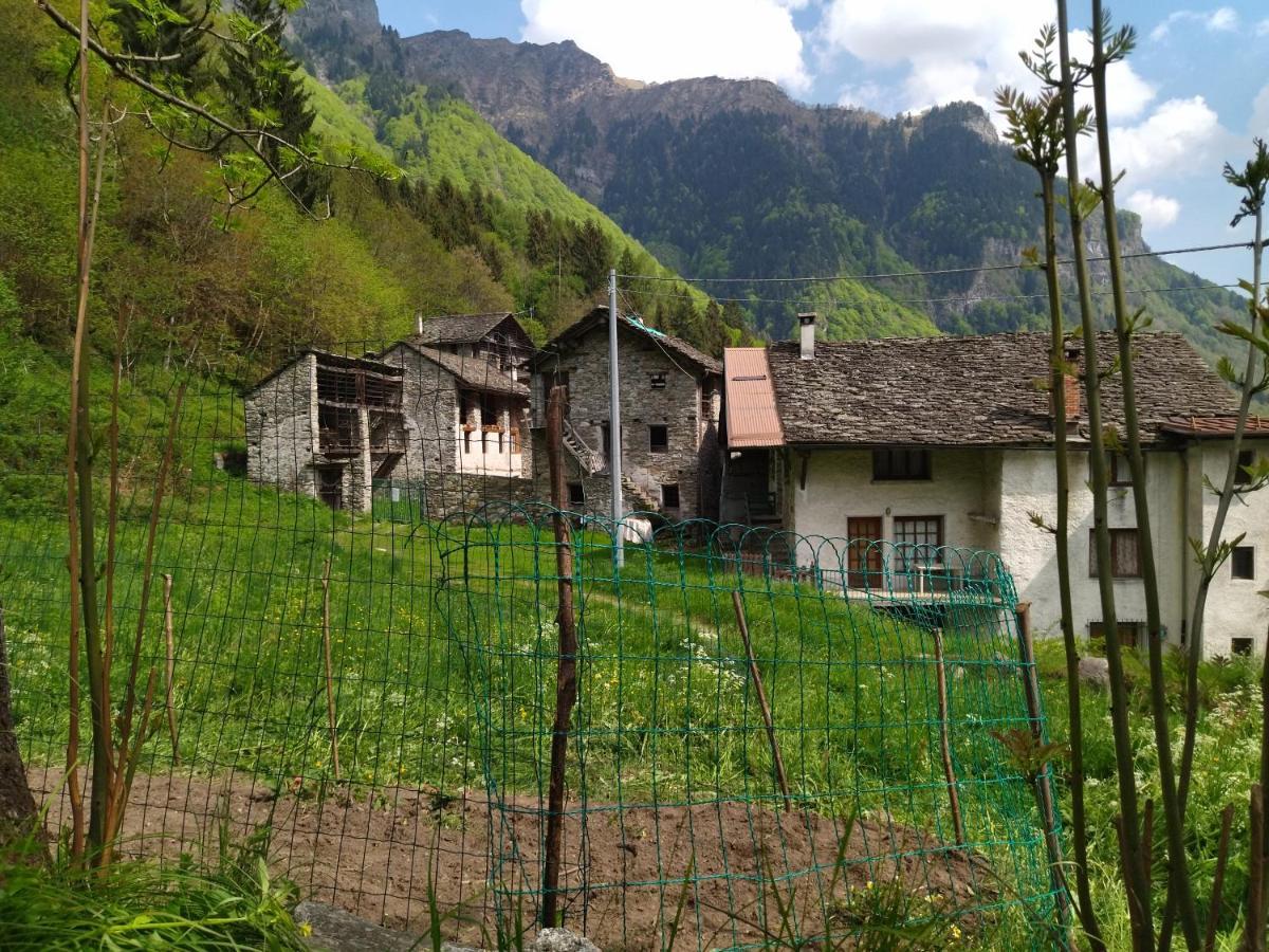 Il Fiume Di Fianco. Appartamento Alta Valsesia Mollia 外观 照片